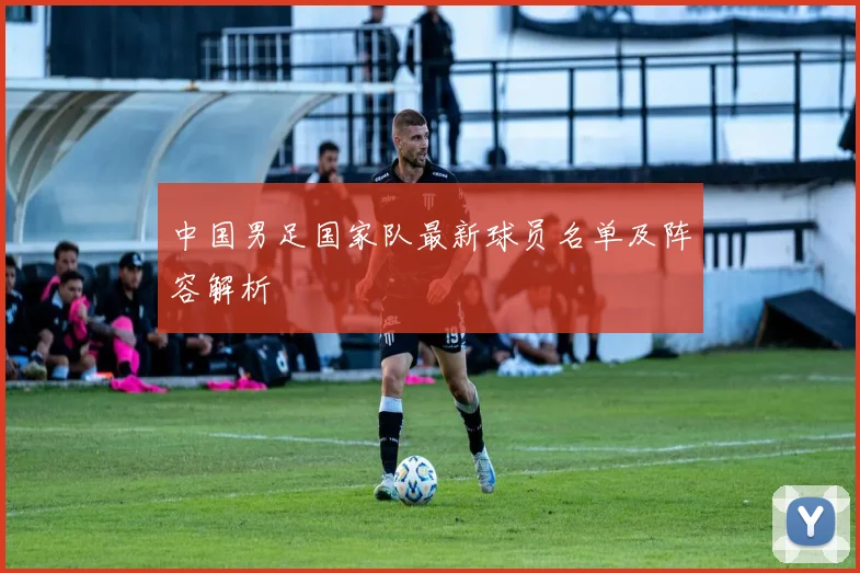 中国男足国家队最新球员名单及阵容解析