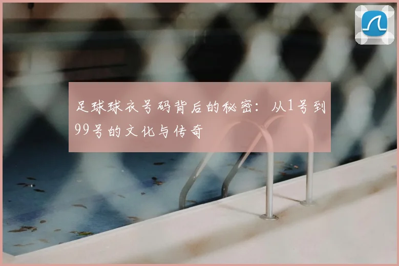 足球球衣号码背后的秘密：从1号到99号的文化与传奇