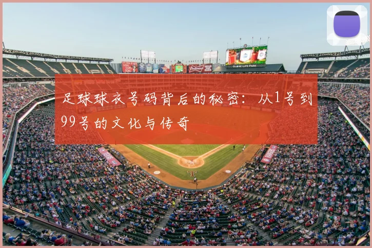 足球球衣号码背后的秘密：从1号到99号的文化与传奇