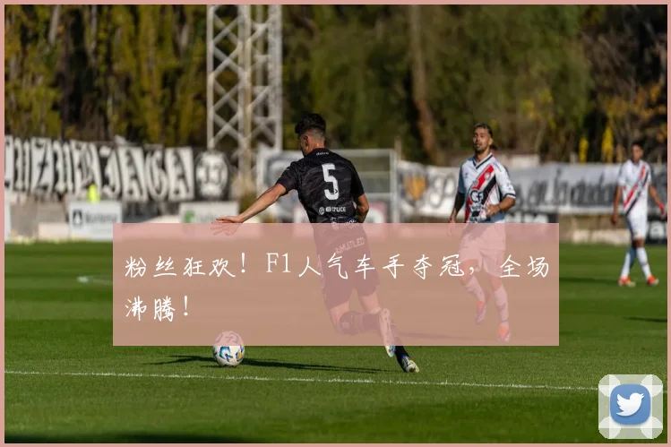 粉丝狂欢！F1人气车手夺冠，全场沸腾！